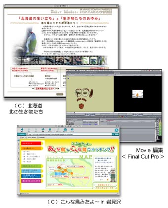 コンテンツ案内